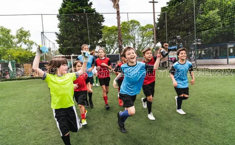 凯发K8国际首页登录入口百度数据开放平台足球运动员越位规则解析，让你全面了解越位规则含义