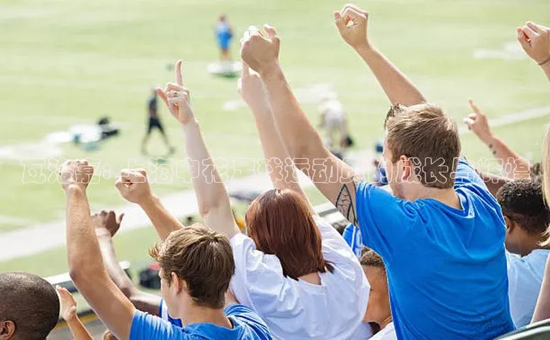 凯发k8(中国)天生赢家百度翻译瓦洛嘉: 上海申花足球运动员的成长与辉煌
