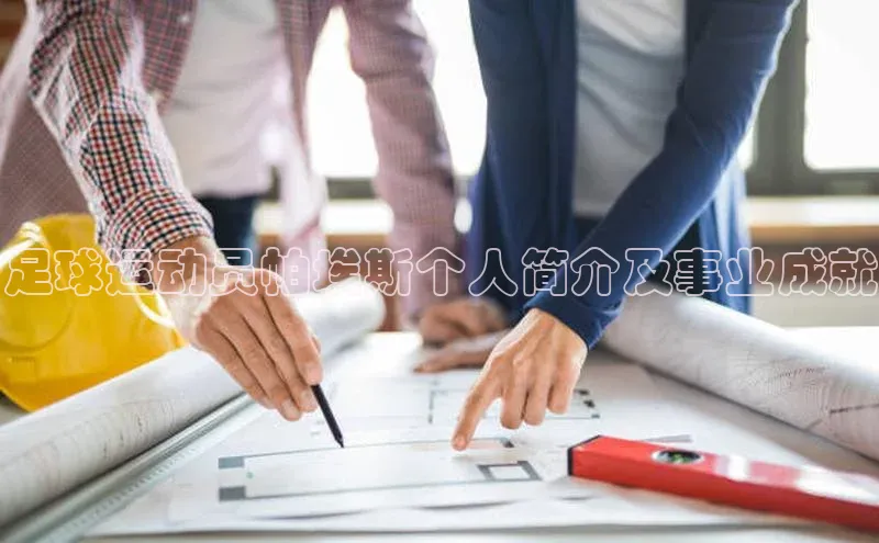 凯发·k8官方网站百度安全社区足球运动员帕埃斯个人简介及事业成就