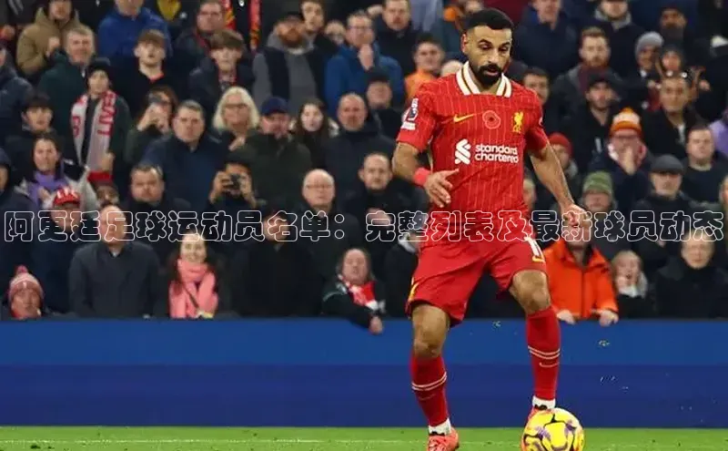 凯时k8国际官网下载百度手机助手阿更廷足球运动员名单：完整列表及最新球员动态