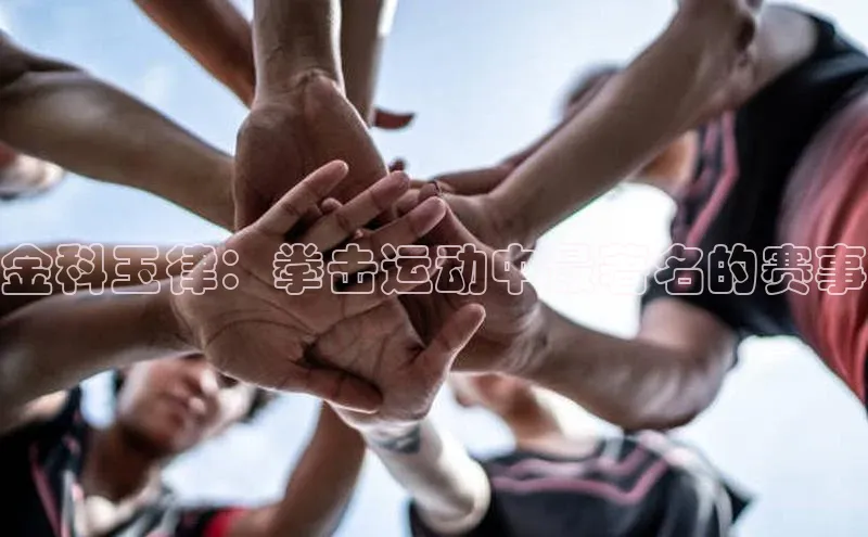 金科玉律：拳击运动中最著名的赛事