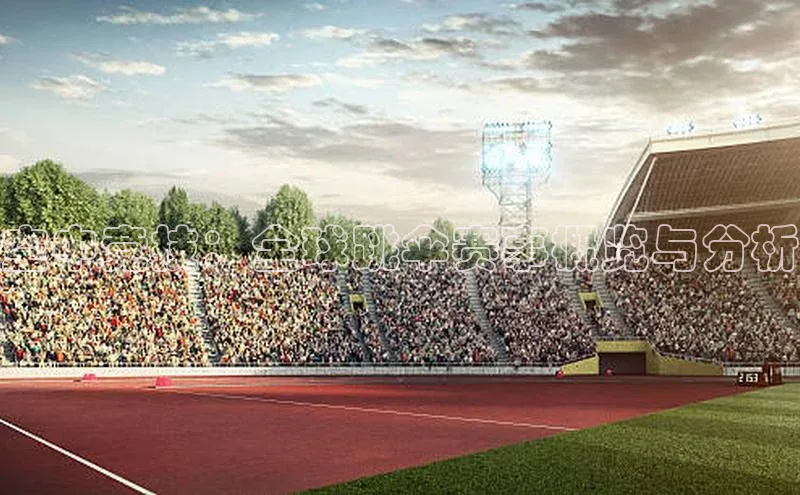 空中竞技：全球跳伞赛事概览与分析