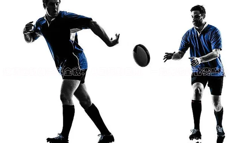 这项运动的赛事全貌：从国际到国内，一览无遗的比赛盛况