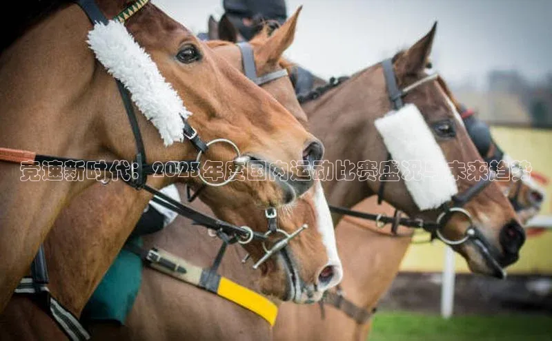 k8凯发官网(中国)